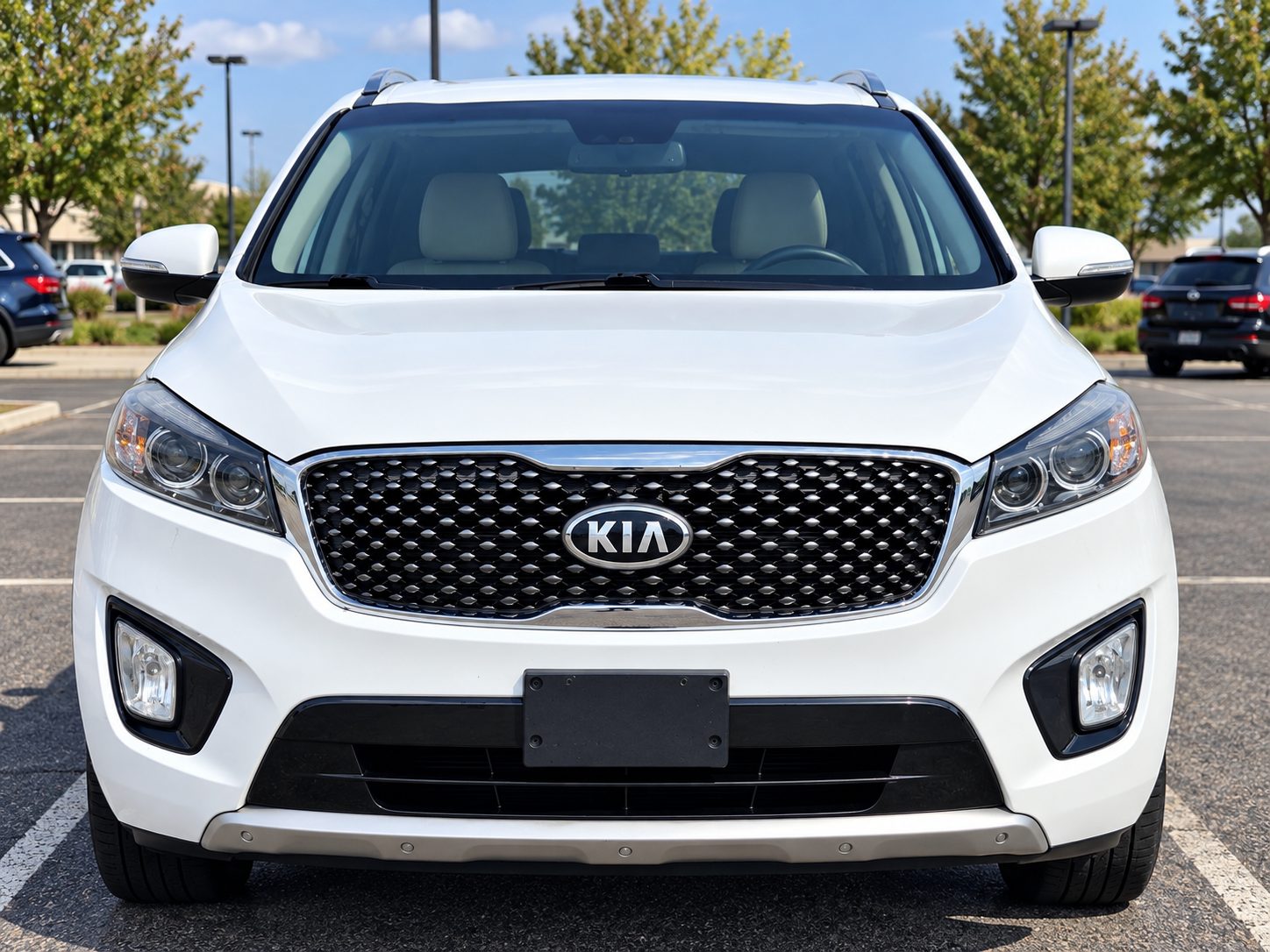 2017 Kia Sorento view 2
